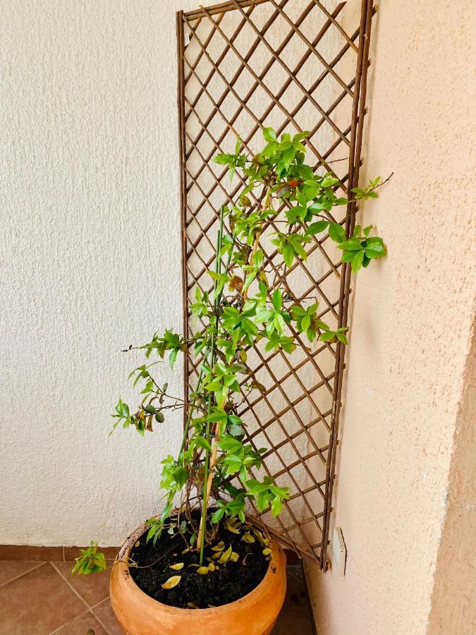 Apartman Blue *